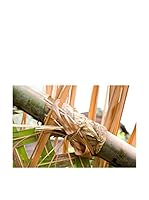 CM Creation Cuadro Decoplex Bambú 50X100