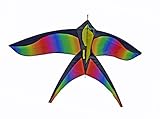 Huge Rainbow Kite For Kids - Huge Beginner Kite For Sale, Rainbow Bird with String, Perfect Kites for Kids, Easy Flyer