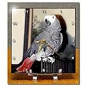 Birds - African Grey Parrot - Desk Clocks
