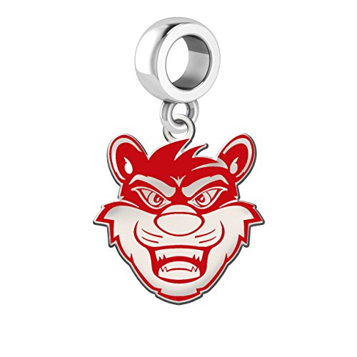 Cincinnati Bearcats Silver and School Color Dangle Charm