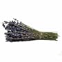 Natural Dried Lavender Aromatherapy Bundle, Eastern Sierra, California