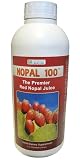 Nopal Red Fruit Liquid Concentrate (Genus: Opuntia Ficus Indica)