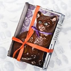 Gorgeous Burmese Pussycat 'Sootchi'