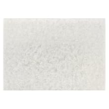 3M 4100 White Super Polish Pad (Case of 10)