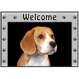Beagle Welcome Sign