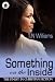 Book cover of Something on the Inside (Urban Christian).