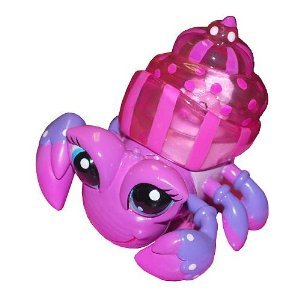 Xia-Xia Hermit Crabs