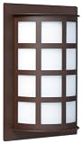 100 Outdoor Lighting Wall Fixture in Bronze & White Glass