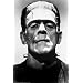 Frankenstein Movie (Boris Karloff, Close-Up) Poster Print - 24x36
