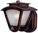 11-Inch Outdoor Wall Light