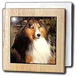 Dogs Sable Border Collies - Sable Border Collie - Tile Napkin Holders