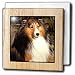 Dogs Sable Border Collies - Sable Border Collie - Tile Napkin Holders