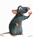 Ratte von Ratatouille like-Jibbitz, nice mice