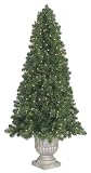 6.5′ Potted Slim Olympia Pine Pre-Lit Artificial Christmas Tree – Clear Lights