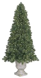 6.5' Potted Slim Olympia Pine Pre-Lit Artificial Christmas Tree - Clear Lights