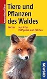 Tiere und Pflanzen des Waldes: 140 Arten einfach bestimmen title=