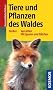 Tiere und Pflanzen des Waldes: 140 Arten einfach bestimmen