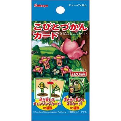 �H��&nbsp;���тƂÂ���J�[�h&nbsp;�S20��Z�b�g