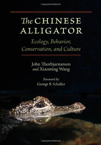 the chinese alligator ecology behavior conservation and culture