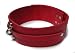 KinkLab Bondage Basics Leather Collar, Red