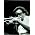 Thumbnail image of Miles Davis
