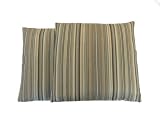 Newport Layton Home Fashions 2-Pack Direct Line Stripe Pillow, Lakeside