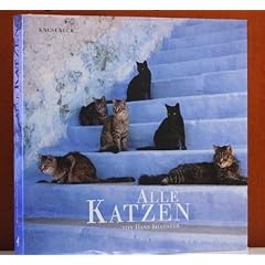 Alle Katzen
