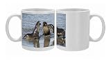 Fur seals, Moltke Harbour, Royal Bay, South Georgia, South Atlantic Photo Mugs