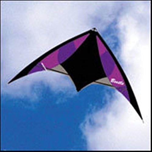 Beetle Dual Line Stunt Kite Neutron