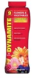 DYNAMITE FLOWER/VEGETABLE 2#