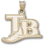 Tampa Bay Rays Tb 5/8 Charm/Pendant -14K/10K, Stainless Steel or Gold Plated