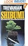 Shibumi