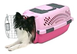 Petmate Pet Taxi Fashion Kennel, Small, Light Pink/Dark Pink