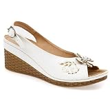 Carlaverde HSSRY1304