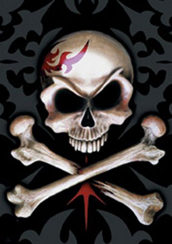 Empire 150011 Gothic - Empire - Skull, Mini-Poster ca. 50 x 40 cm