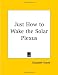 Just How to Wake the Solar Plexus