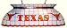Texas Pool Table Lamp