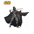 Darth Vader Collector Costume Adult