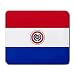 Paraguay Flag Mouse Pad