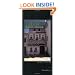 Czech-English/English-Czech Dictionary and Phrasebook (Hippocrene Dictionary & Phrasebooks)
