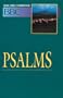 Basic Bible Commentary Psalms Volume 10 (Abingdon Basic Bible Commentary)