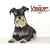 Just Schnauzers 2009 Calendar