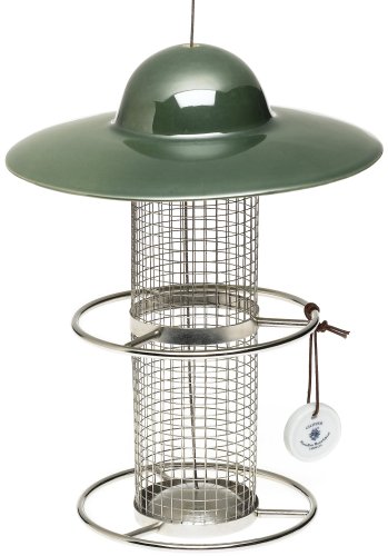 Gilitzer Bird Feeder Moss Green