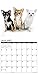 2016 Just Chihuahuas Wall Calendar