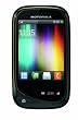 Motorola  Wilder