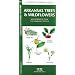 Arkansas Trees & Wildflowers: An Introduction to Familiar Species (State Nature Guides)