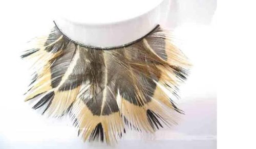 10 Paare Feder Wimpern SA-47 - Braun und Schwarz Preisvergleich