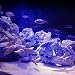 Aquarium MONDLICHT 9 LED Beleuchtung BLAU Licht Leuchte