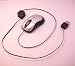 Electronics : USB Mini Optical Retractable Mouse 800dpi 3 Button Scroll Silver Black Wired ideal for Laptop / PC