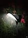 Solar Garden Path Lighting - Solar Ray - Solar Path Light - Set of Three (3) Lights